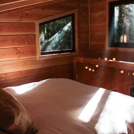 Cabanas Bosque Milenario Conaripe Exterior photo