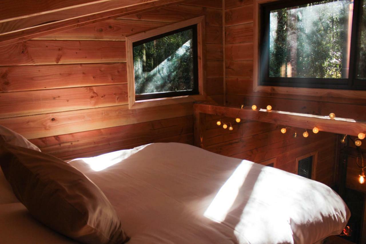 Cabanas Bosque Milenario Conaripe Exterior photo