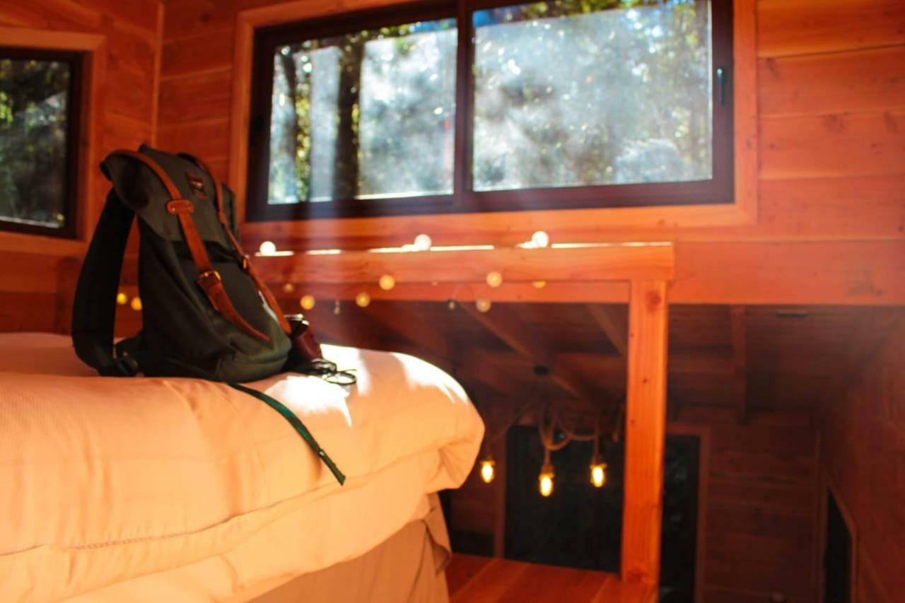 Cabanas Bosque Milenario Conaripe Exterior photo