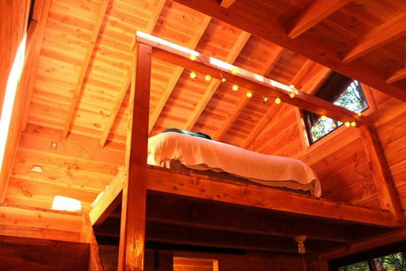 Cabanas Bosque Milenario Conaripe Exterior photo