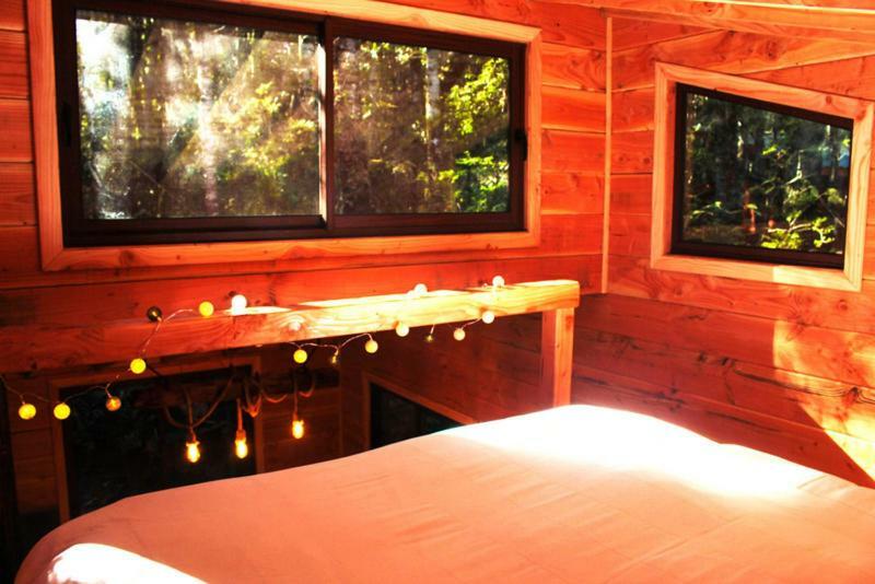 Cabanas Bosque Milenario Conaripe Exterior photo