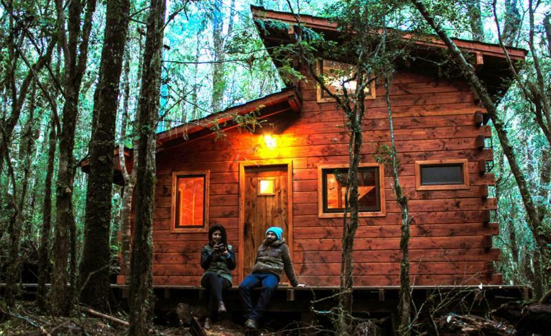 Cabanas Bosque Milenario Conaripe Exterior photo