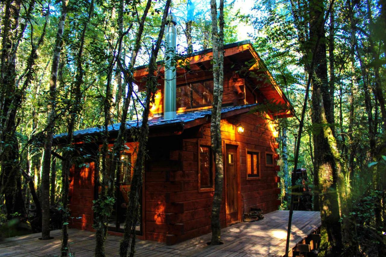 Cabanas Bosque Milenario Conaripe Exterior photo