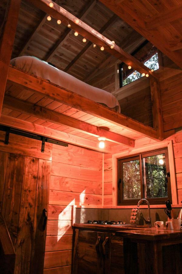 Cabanas Bosque Milenario Conaripe Exterior photo