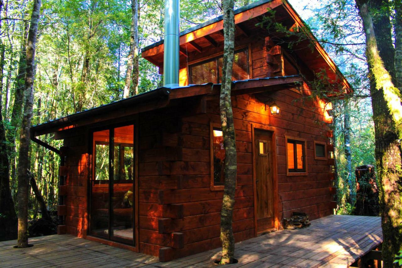 Cabanas Bosque Milenario Conaripe Exterior photo