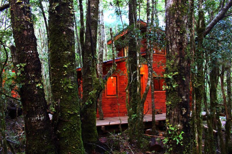 Cabanas Bosque Milenario Conaripe Exterior photo